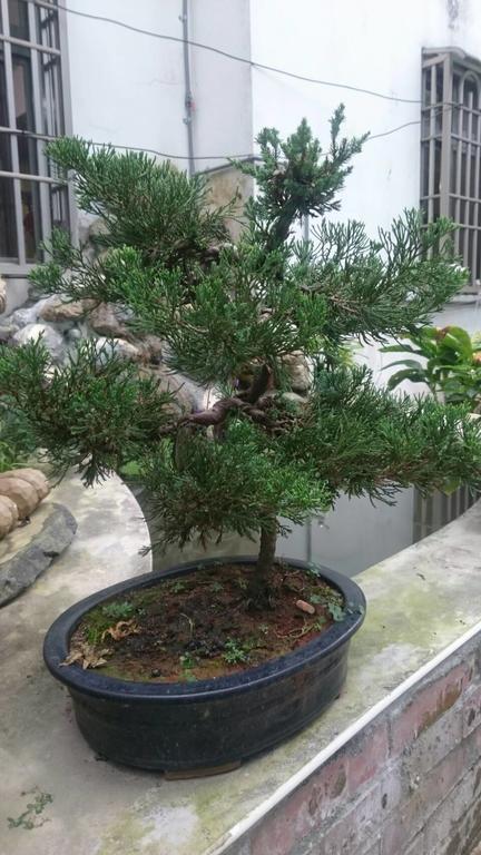 吾居吾宿 Zhixue Екстериор снимка